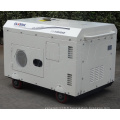 Bison (Chine) BS12000Se 10kw générateur de générateur 10kva Démarrage électrique triphasé Diesel Silencieux Générateur 10 kW 110V 220V 380V